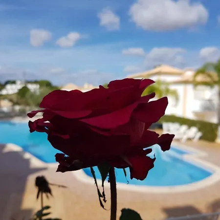 Villa Sergio S Place - Farm Village - By Algarkasa Albufeira